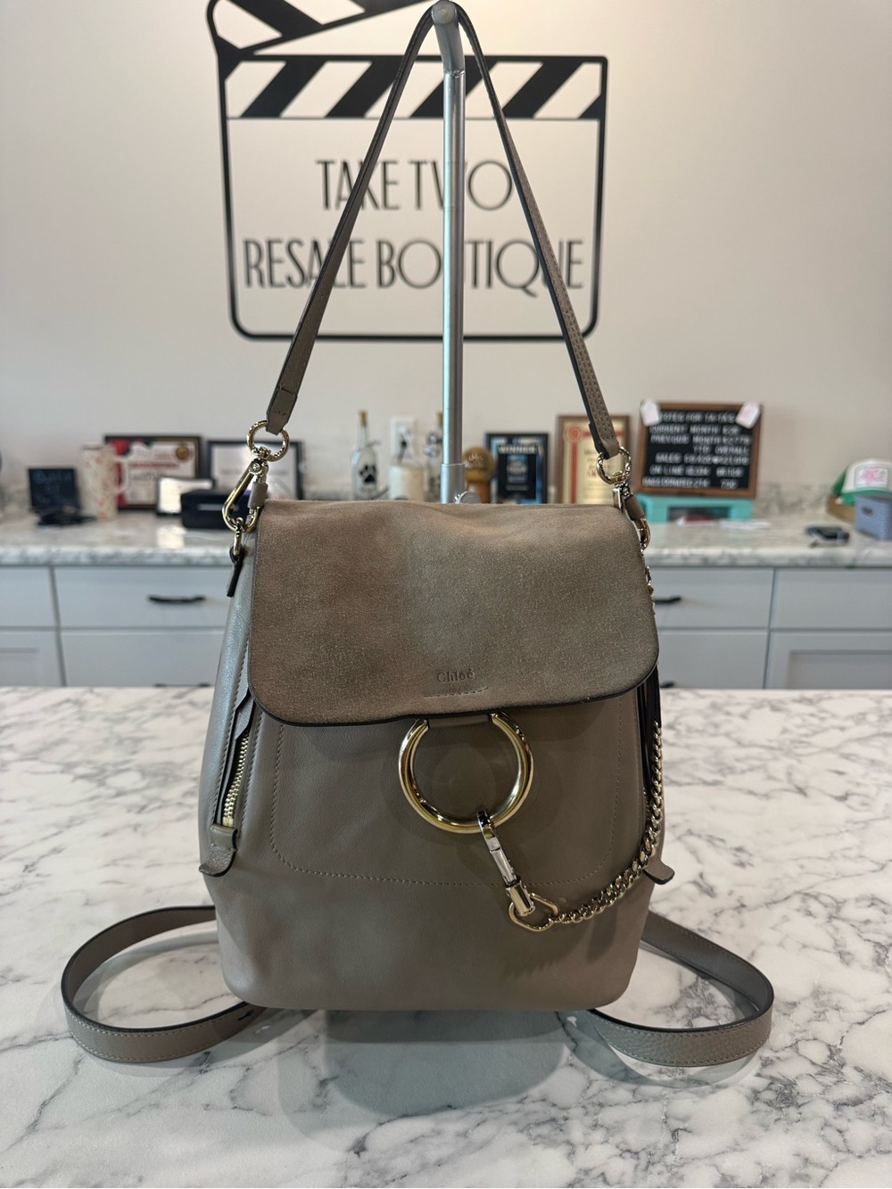 Chloe Suede Calfskin Medium Faye Backpack Motty Grey